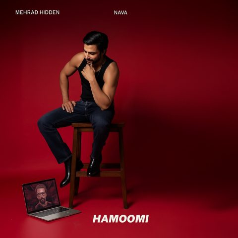 دانلود آهنگ مهراد هیدن حمومی