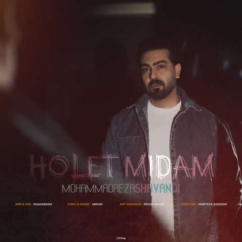 دانلود آهنگ محمدرضا شوندی هولت میدم