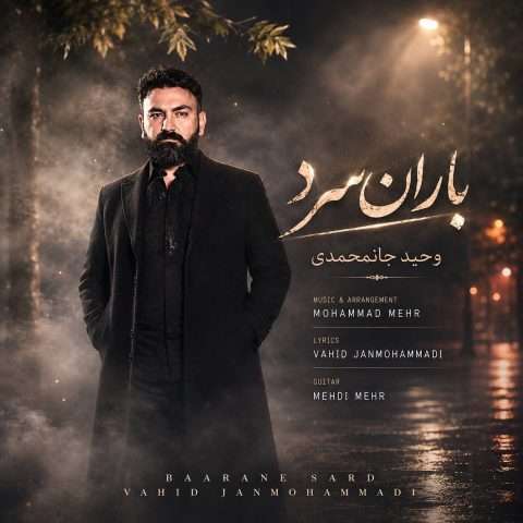 وحید جان محمدی باران سرد