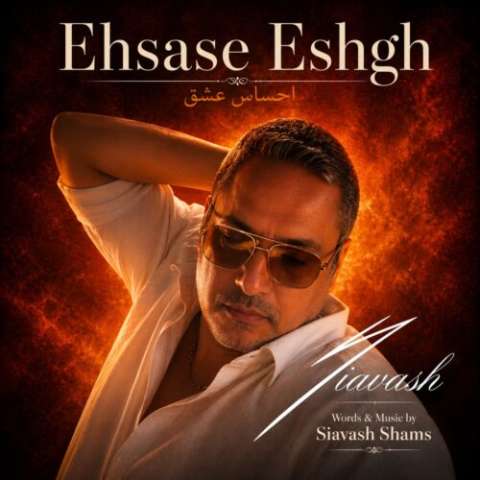 محمد حسین حدادیان مرد و زن زدنت