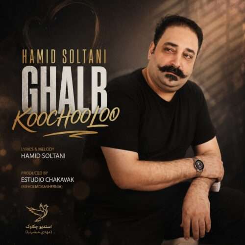 حمید سلطانی قلب کوچولو