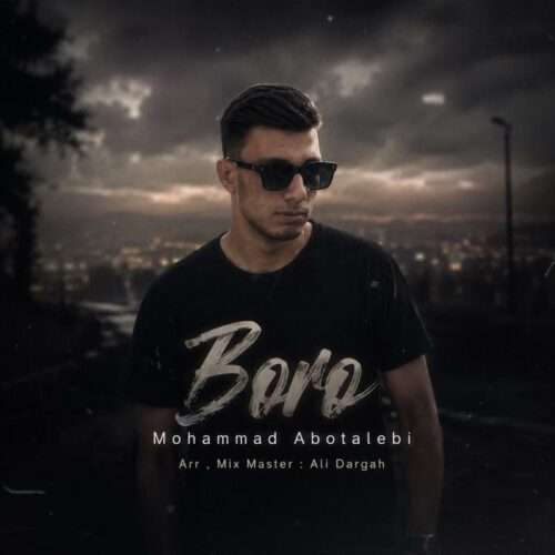 محمد ابوطالبی برو