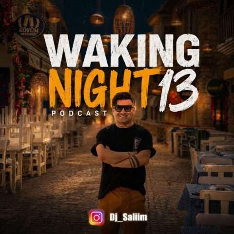 دیجی سلیم Waking Night 13