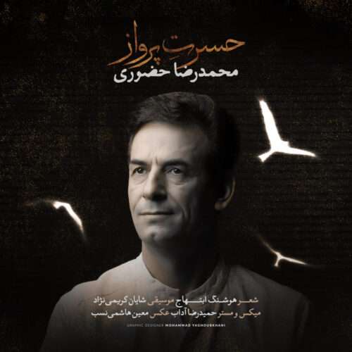 محمدرضا حضورى حسرت پرواز