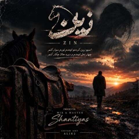 سینا پارسیان زین (دلی)